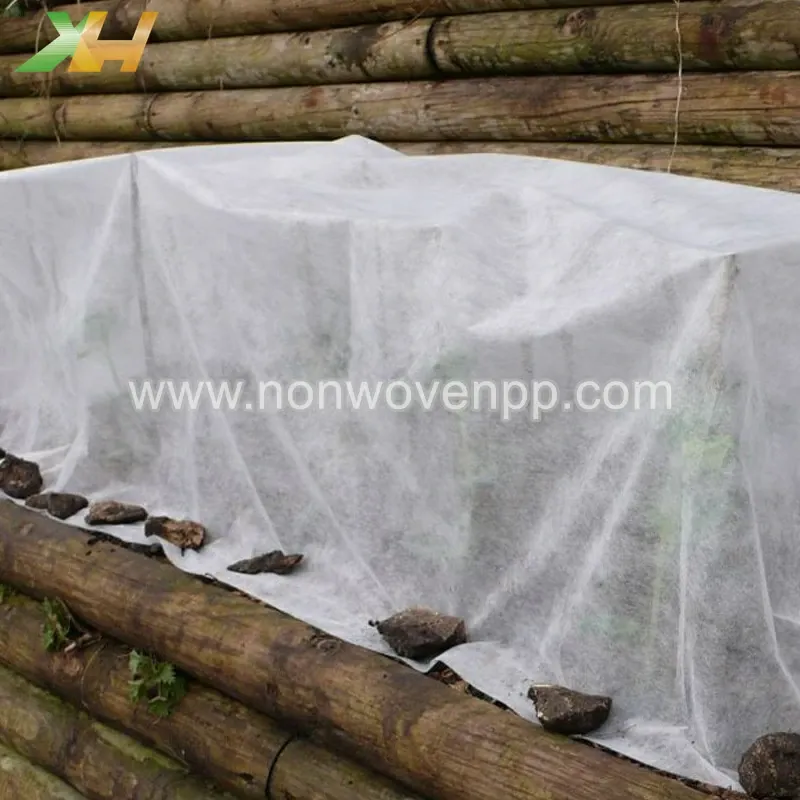 pp non woven fabric